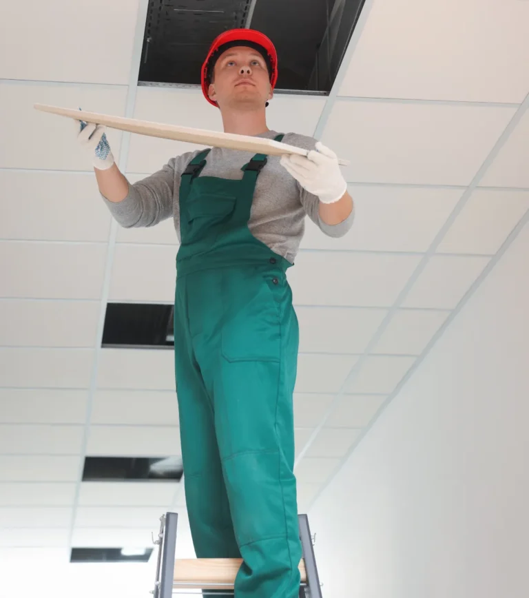 Faud plafond JB RENOV